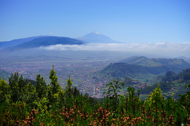 volcano, parque rural de anaga, Tenerife, nature, viewpoint, mountain, mountain peak, landscape, cruz del carmen, agriculture, land, scenics, anaga mountains