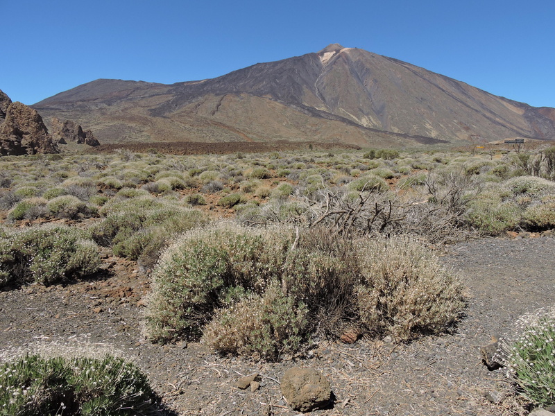 arid climate, climate, 4K, land, tranquility, landscape, outdoors, no people, sky, desert, plant, the national park, el teide, environment, clear sky