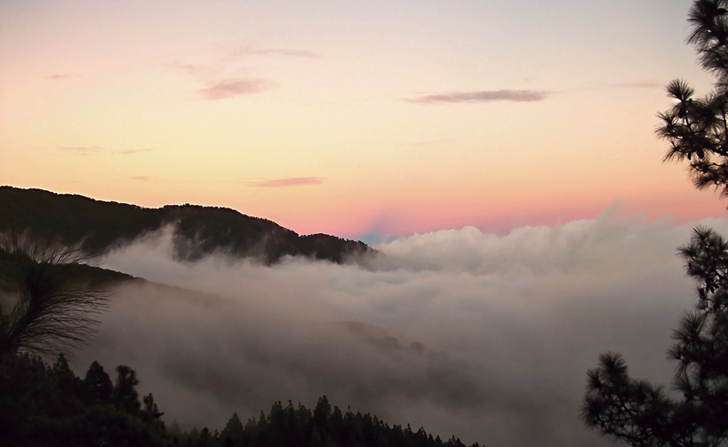 mountain range, scenics - nature, sea of fog, idyllic, teide national park, clouds, nature, Teide, plant, 8K, el teide, sunset, environment, forest, sky