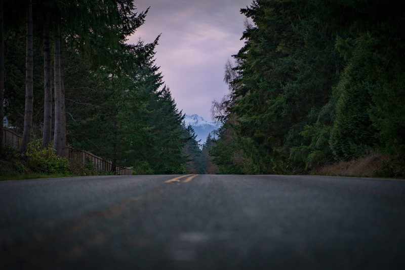 tarmac, plant, silhouette, treelined, way, diminishing perspective, vanishing point, green color, spruce, road, no people, sky, wa, asphalt, abies, tranquility