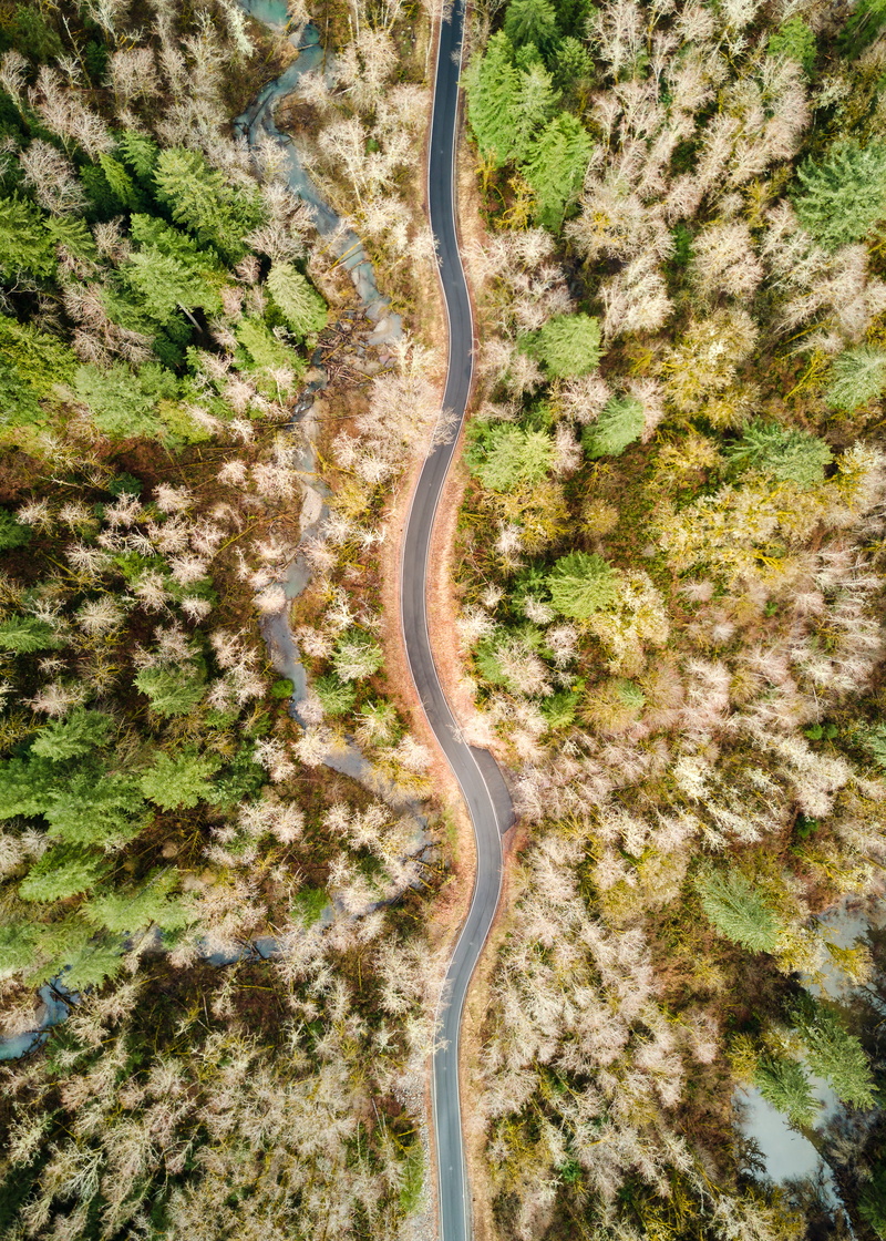 outdoors, tranquility, aerial view, drone photography, scenics - nature, 4K, abstract, view, transportation, land, trees, curvey road, asphalt, surrounded