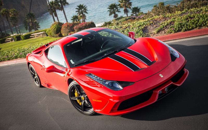 Trees, speciale, 1080P, Palm, Red, Ferrari, Supercar