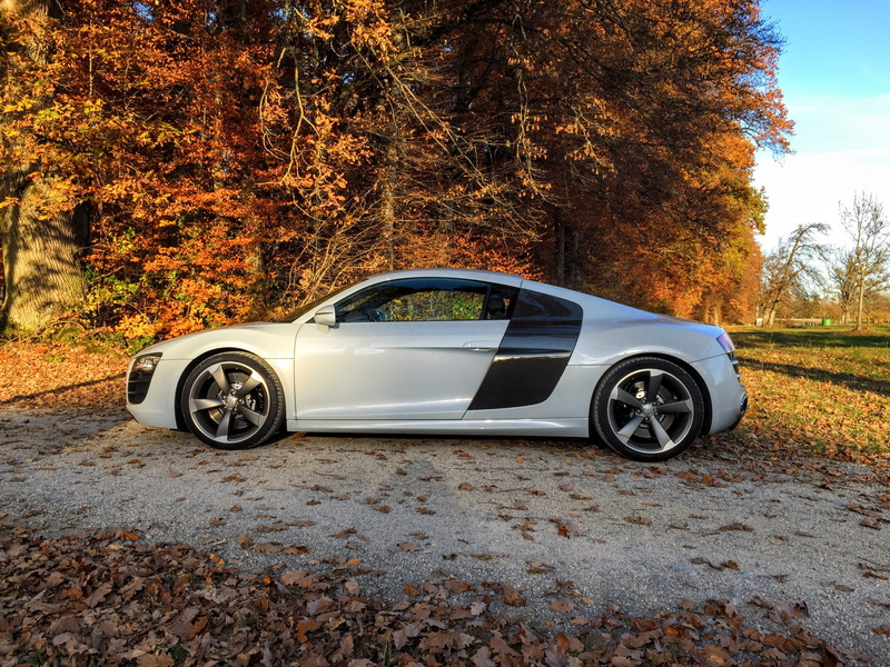 motor vehicle, autumn, change, stationary, luxury, coupe, plant, vehicles, r8, orange color, plant part, black, retro styled, reflexes, day, super sports car