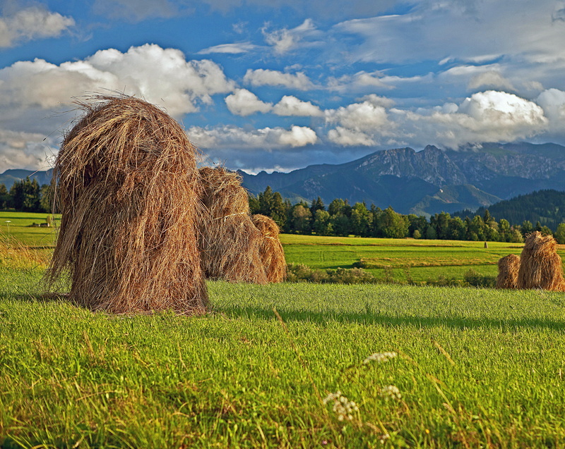 life in the countryside, summer, after work, a view of the mountains, nature, field, tatry, mountains, day, sky, kopka, podhale, poland, rural Scene, agriculture