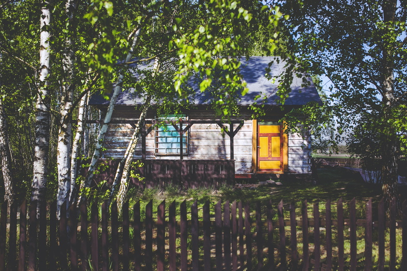 water, green, green color, fence, daytime, trees, building exterior, nature, near, building, ruined, wooden, built structure, woods, tree, branch, day
