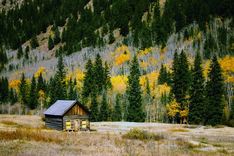 built structure, landscape, 1080P, non-urban scene, pine tree, pine woodland, mountains, rural, hdr, scenic, coniferous tree, architecture, wilderness