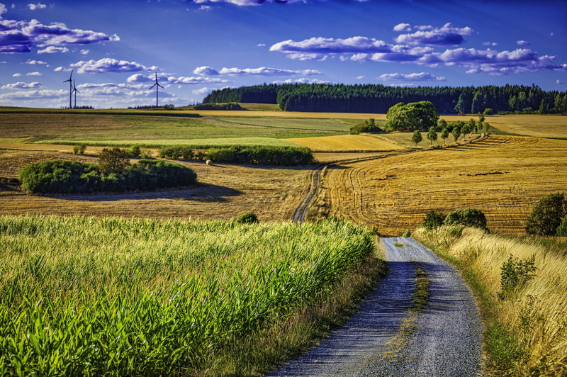 land, near, road, no people, 5K, wind power, green color, beside, wheal, environment, field, rural scene, outdoors, wind turbine, green, growth, landscape
