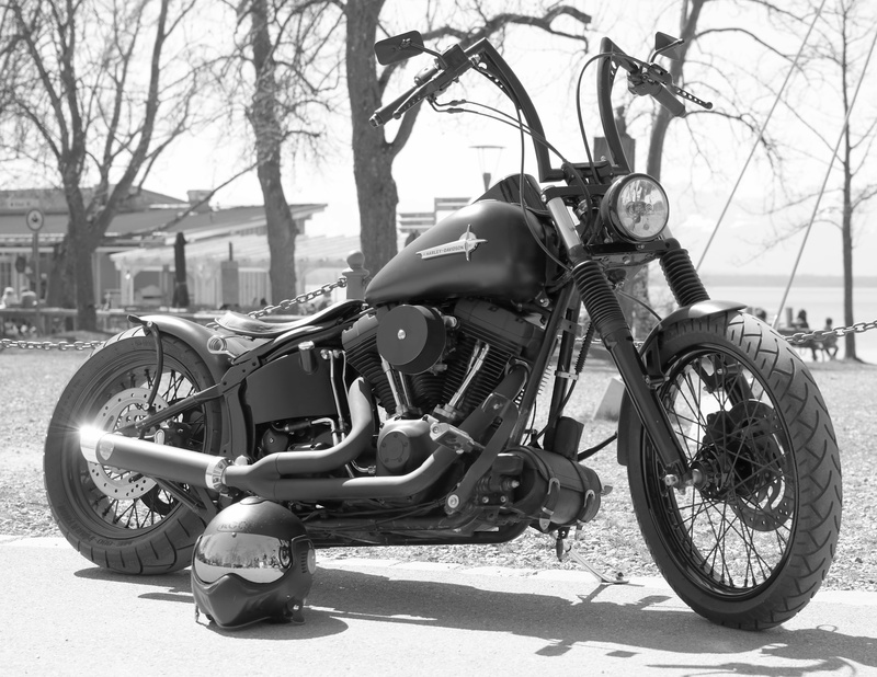 sunlight, black, motor scooter, land vehicle, scooter, cult, bare tree, dom, leisure, outdoors, motorcycle, building exterior, transportation, traffic