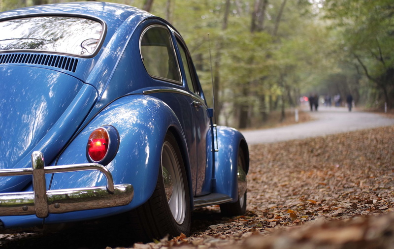 dry leaves, transportation system, bumper, transportation, motor vehicle, roadway, road, vintage, classic, volkswagen, pathway, tail light, land vehicle