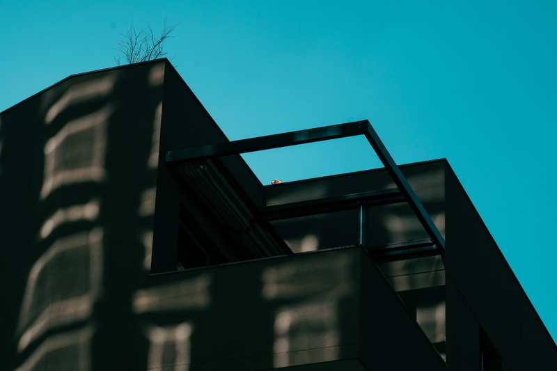 staircase, agelaius, bird, sunlight, sky, copy space, vehicle, flare, dusk, no people, black, window, low angle view, minecraft, sphere, skylight, furniture