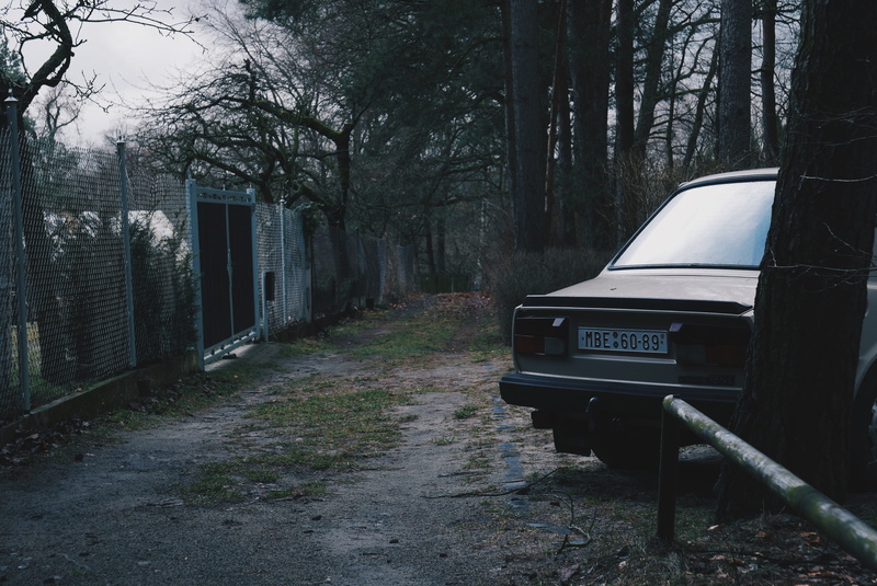 building exterior, trunk, car corners, woods, forest, skoda, bohemian paradise, tree trunk, nature, trees, český ráj, architecture, no people, land, motor vehicle