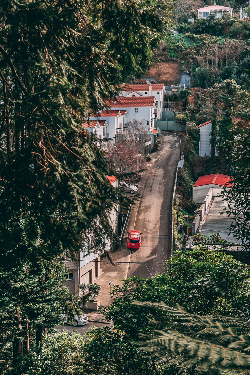 urban Scene, old, village, architecture, town, building Exterior, woodland, trees, building, cityscape, house, built Structure, nature, transportation