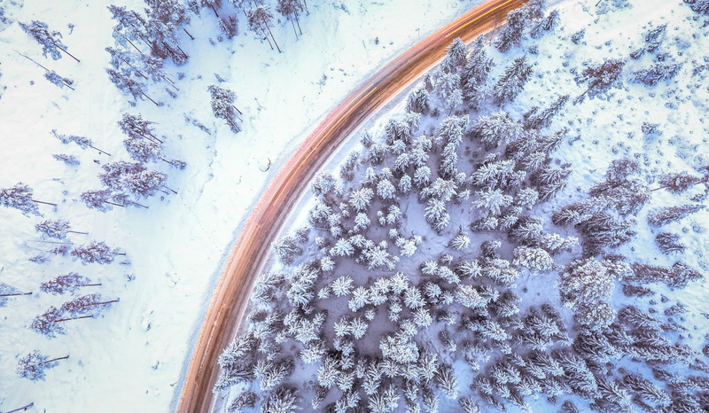 cars, 2K, driving, yellow, plant, covered, january, close-up, photo, outdoor, drone, beauty in nature, tree, winterland, february, trees, land, white