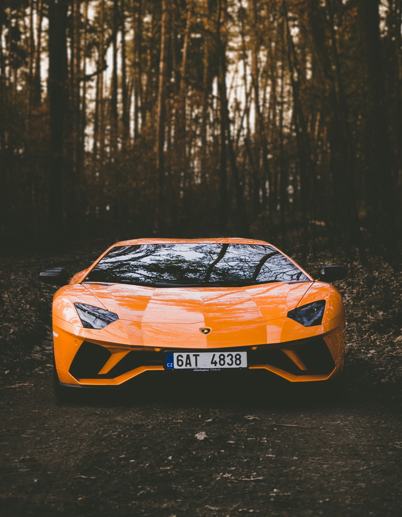 orange color, sport car, motor vehicle, transportation, day, land, tree, toy, nature, lamborghini, text, style, outdoors, trunk, toy car, orange, front view