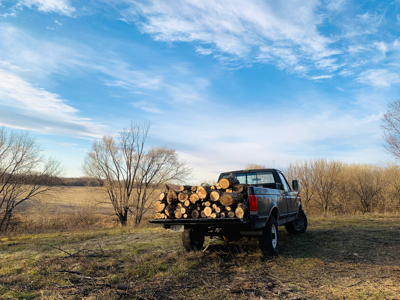 tree, christmas, pickup, 4K, black, offroad, outdoors, desktop, plant, rustic, bare tree, logs, land vehicle, car, download, pickup truck, scenics - nature