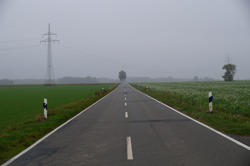 plant, lonely, traffic, landscape, connection, grass, rear view, outdoors, road marking, direction, day, scenic, road, lifestyles, marking, 5K, country road