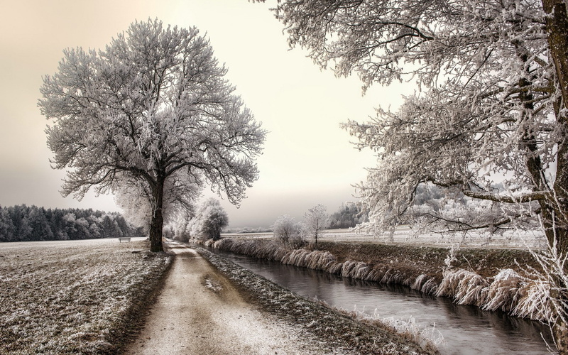 frost, the way forward, river, day, tranquility, landscape, sky, plant, nature, cold, treelined, field, dirtroad, tranquil scene, 1080P, non-urban scene