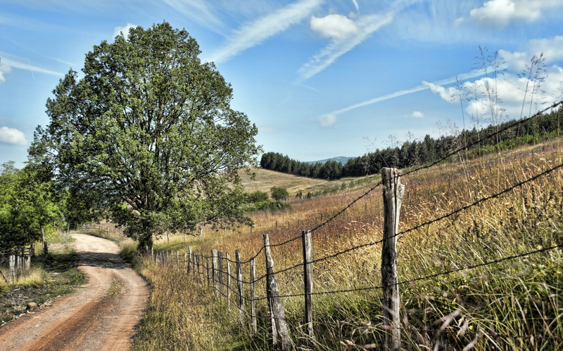 roads, cloud - sky, beauty in nature, growth, plant, serbia, tranquil scene, boundary, dirtroads, tranquility, nikond3000, tree, day, outdoors, photography