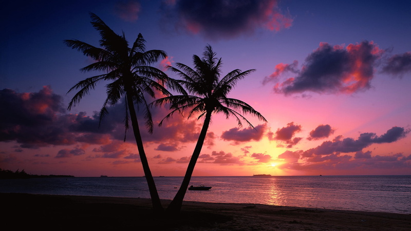 outdoors, dusk, sun, vacations, scenics, seascape, day, island, summer, relaxation, plant, sky, landscape, tourist Resort, trees, idyllic, decline, land