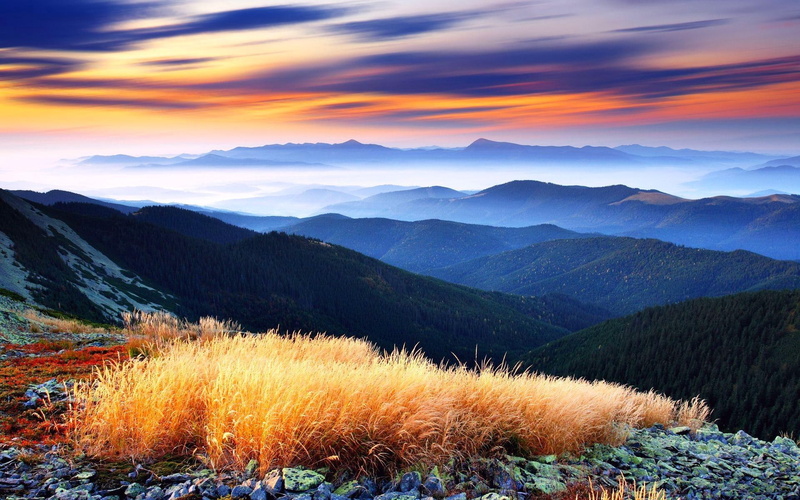 mountain, top, view, beautiful, green decline, panorama, photo, forest, mountains, valley, brown, mist, clouds, trees, 1080P, highls, higla, grass