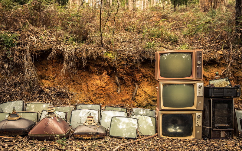 land, forest, old, field, 2K, sunlight, tree, deterioration, plant, outdoors, ruined, TV, decline, abandoned, run-down, nature, damaged, obsolete, day