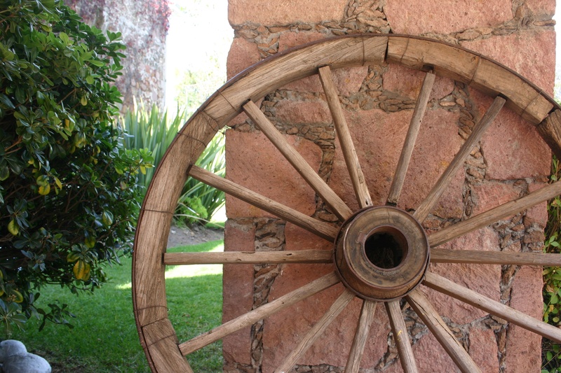 2K, circle, rays, old, no people, shape, green color, tree, field, day, plant, wagon wheel, growth, wood - material, pattern, nature, close-up, wheel