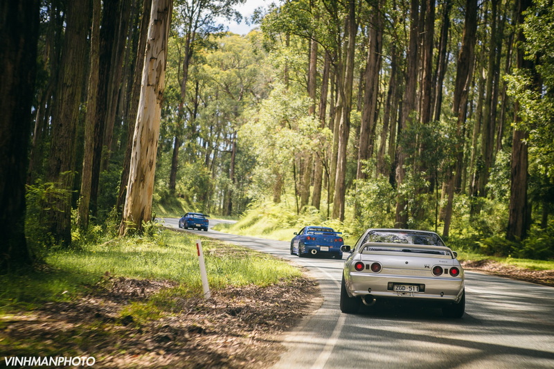 car, plant, motor vehicle, journey, forest, road trip, woodland, road, outdoors, land vehicle, day, sports utility vehicle, mode of transportation, nature