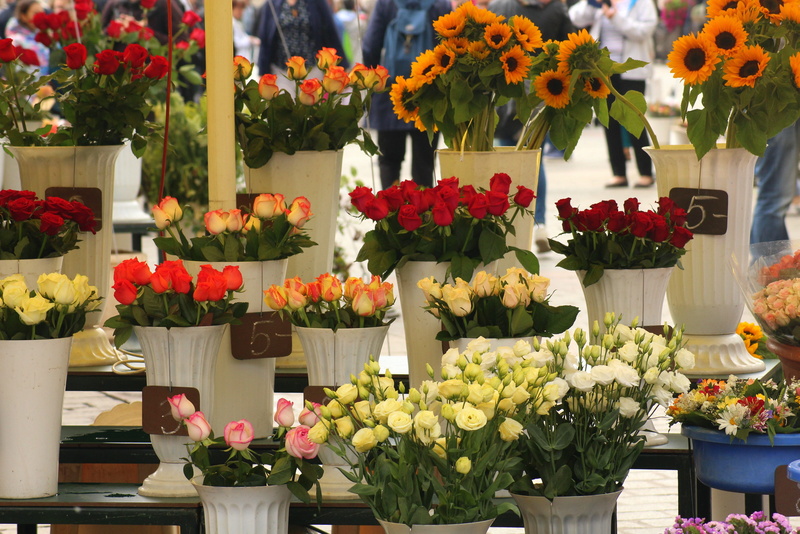 flowering plant, freshness, sale, for sale, colorful, flowers, tulip, 4K, bouquet, nature, choice, plant, arrangement, variation, multi colored, flower pot