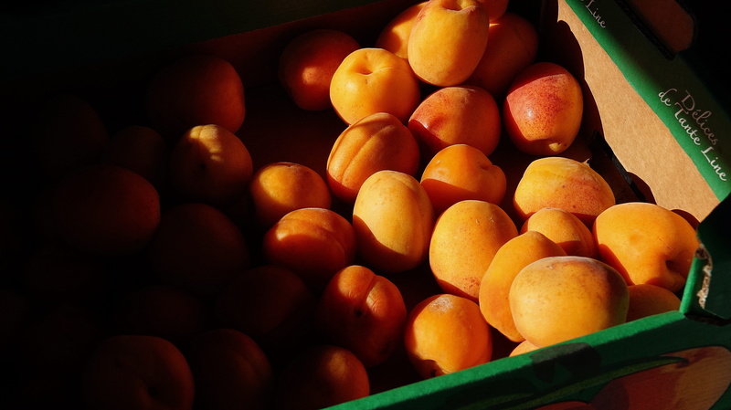 healthy food, large group of objects, a healthy diet, diet, close-up, vitamin, nutrition, market, apricot, 5K, still life, healthy eating, orange, natural