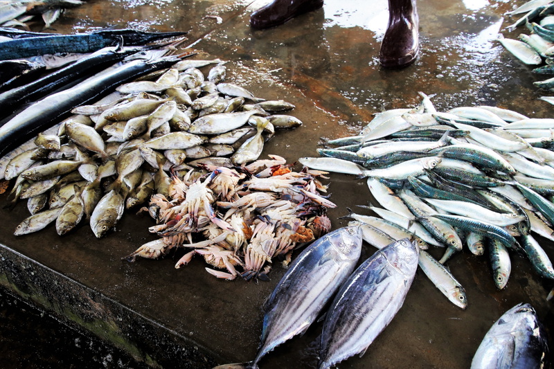 genre, market, sardine, vertebrate, retail, wellbeing, wet, choice, high angle view, gray, eating, nature, healthy eating, abundance, the freshness, sale