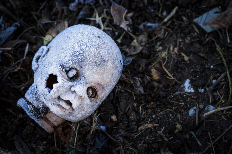 fungus, landfill, doll, poor man, focus on foreground, vegetable, poor, homeless, mud, dirt, horror, nature, plant, ground, scary, toadstool, sky, food