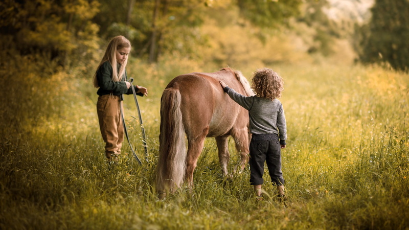 kids, meadow, girl, horse, summer, nature, the village children, foal, curly, former, village, children, friendship, boy, mood, pony, 1080P, childhood