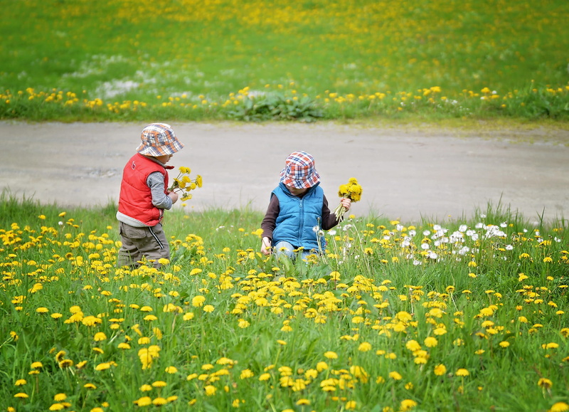 lifestyle, flower, pick flowers, togetherness, freshness, playing, smiling, picking, springtime, grass, nature, flowering plant, caucasian Ethnicity, babies And Children