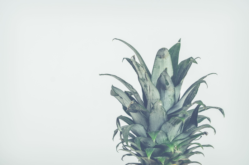 plant part, background, green color, white background, tropical fruit, 5K, green, wellbeing, cut out, freshness, plant, no people, desktop background