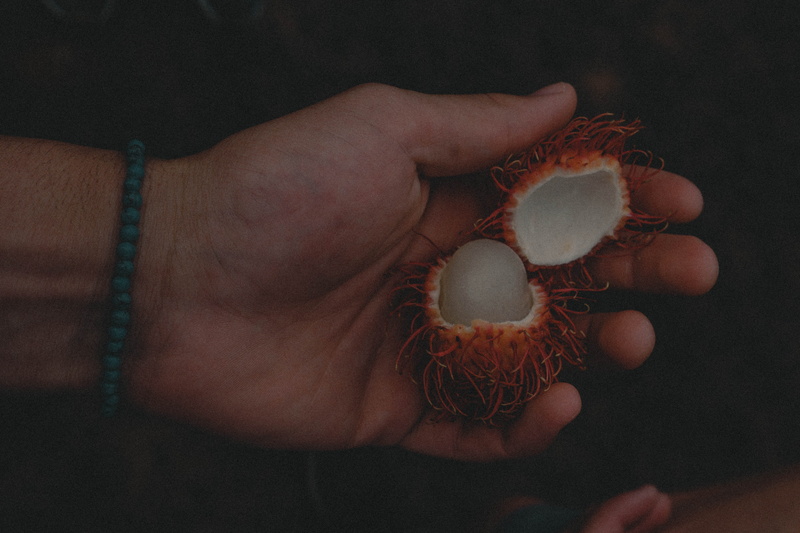 healthy eating, food and drink, applique, food, hole, 5K, peel, indoors, pattern, human, close-up, one person, rambutan, vegetable, wellbeing, peeled