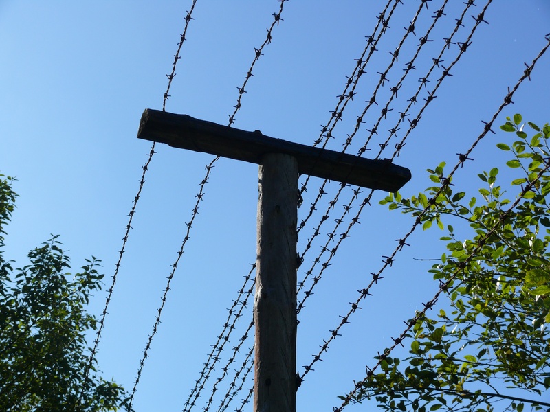 clear sky, border, metal, 2K, electricity, tree, sky, barrier, protection, safety, fuel and power generation, fence, power supply, plant, low angle view