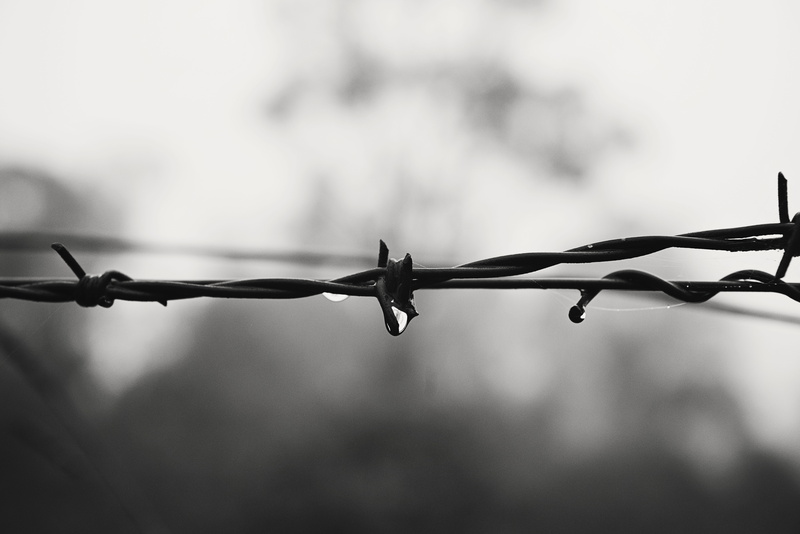 dew, fence, metal, raindrops, boundary, black, protection, exclusion, barbed wire, warning sign, wire, depth of field, drops, sharp, 5K, spikes, barrier