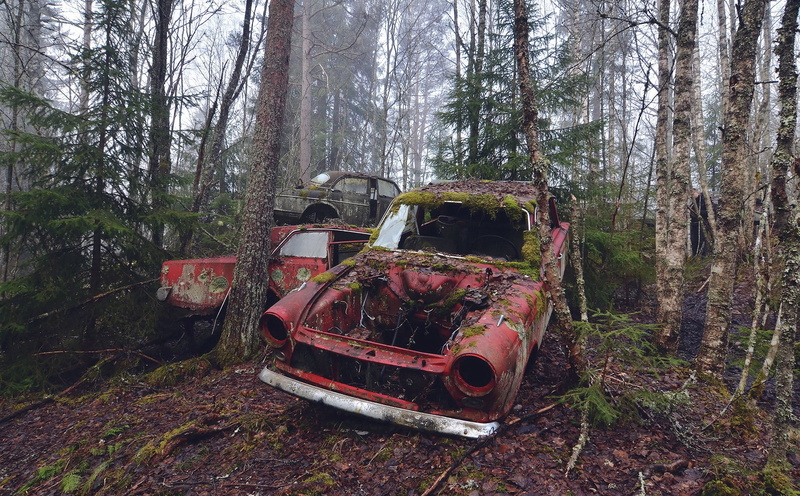 mode of transportation, outdoors, plant, tree, ruin, no people, wreck, abandoned, decline, bad condition, damaged, car, obsolete, vehicle, old, land vehicle