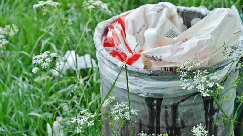 rose - flower, plastic waste, outdoors, recycle bin, nature, wedding, beauty in nature, focus on foreground, waste bins, flower, white color, green color