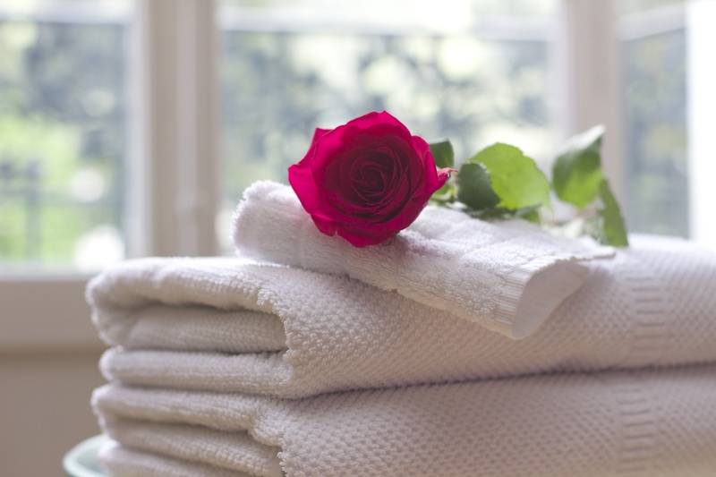 towel, care, softness, day, flowering plant, clean, 5K, rose, spa, window, flower, close-up, rose - flower, luxury, hospitality, salon, fragility, nature