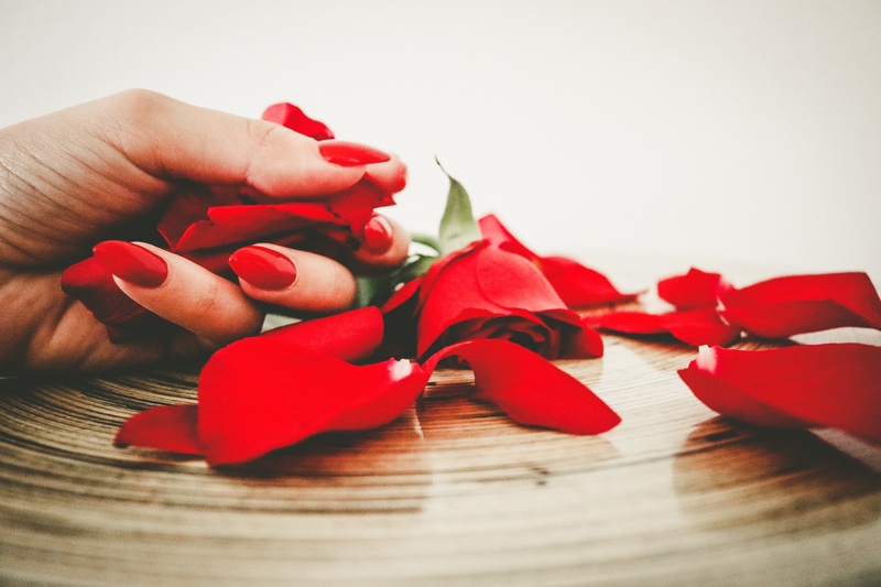 person, nails manicure, elegance, petaled, indoors, polish, human finger, body part, real people, glamour, 5K, petal, woman, holding, flower, hand, flowers