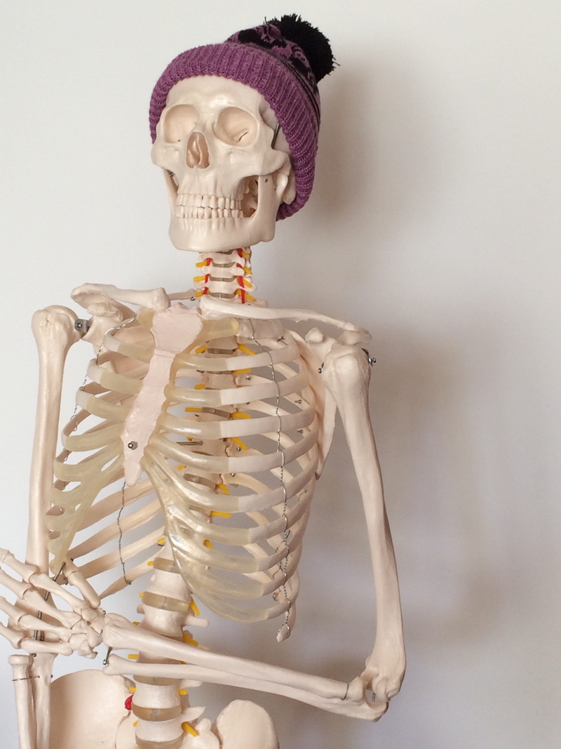 body part, human representation, people, bone, healthcare and medicine, skeleton, 2K, anatomy, human bone, bizarre, arms raised, studio shot, biology