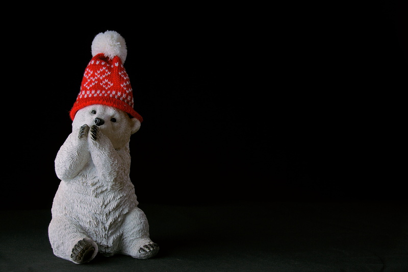 bobble, art and craft, bear, hat, animal representation, representation, stuffed toy, copy space, creativity, black background, toy, red, polar