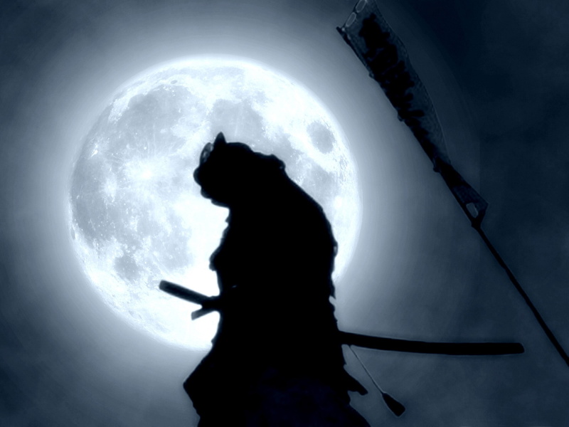one person, 2K, samurai, silhouette, moon, three quarter length, black background, dark, back lit, aggression, sky, outdoors, unrecognizable person, space