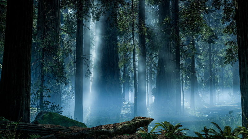 Rendering, game, Endor, Forest, DICE, 4K, Electronic Arts, Star Wars: Battlefront