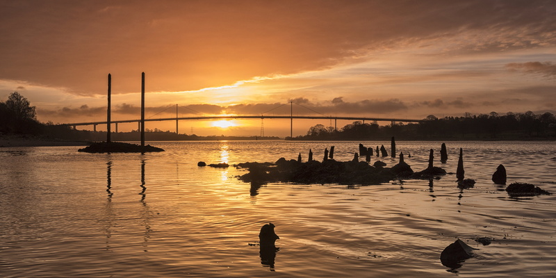 lake, summer, view, River Clyde, vacations, water, 5K, nautical Vessel, sky, dusk, flock, Erskine Bridge, Broen, rippling, landscape, sunlight, flock of birds