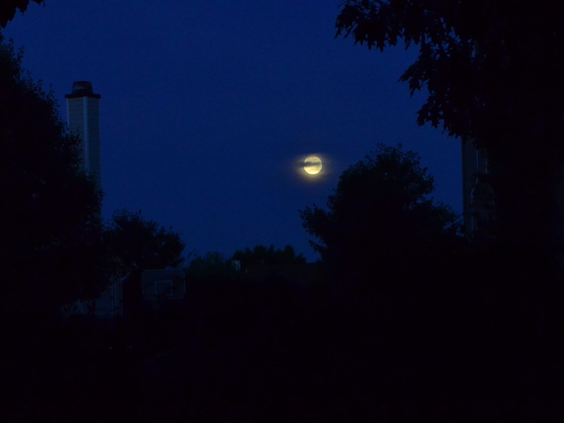Sky, architecture, setting moon, dark, twilight, moonlight, silhouette, scenics - nature, tranquility, planetary moon, beauty in nature, inky sky, morning