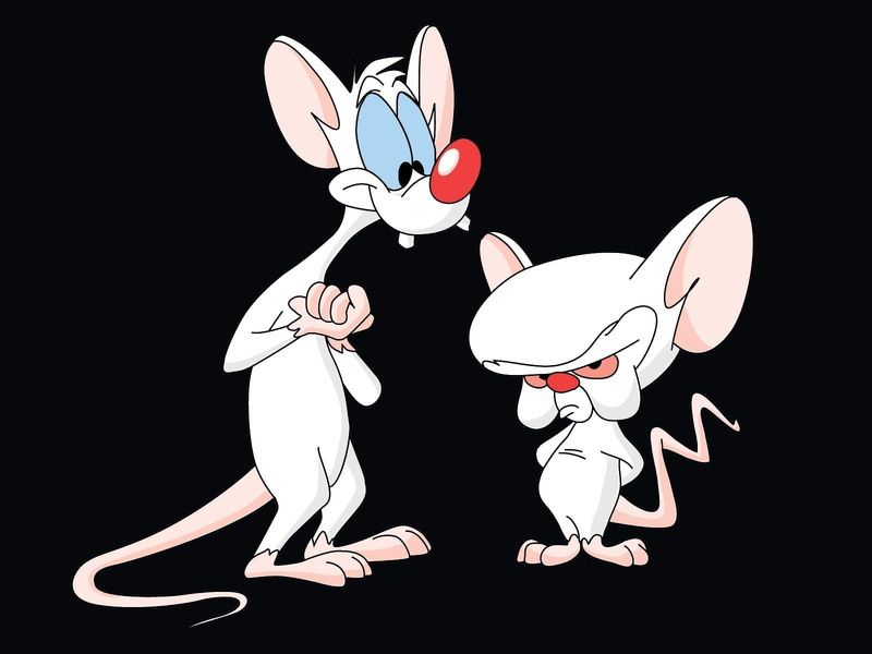 pinky and the brain, 720P