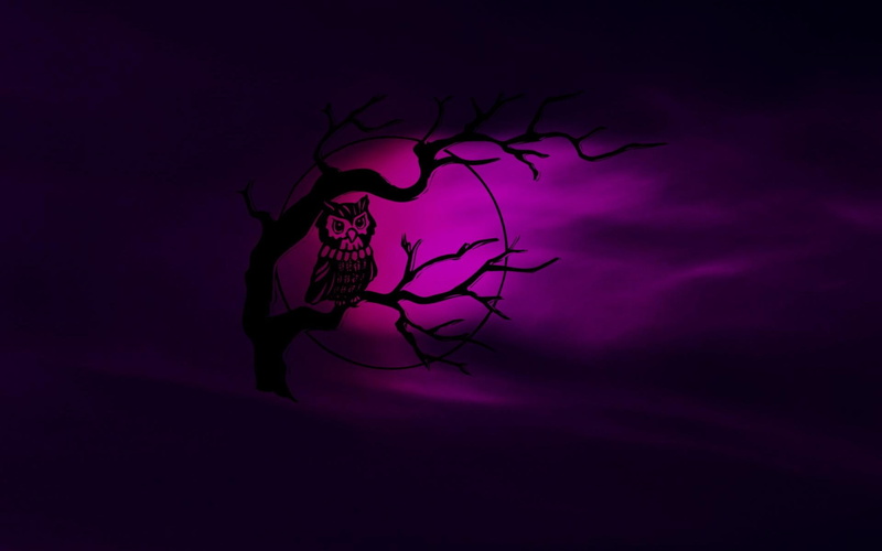 illustration, 1080P, owl, steal, dark, bare, tree, abstract, moon
