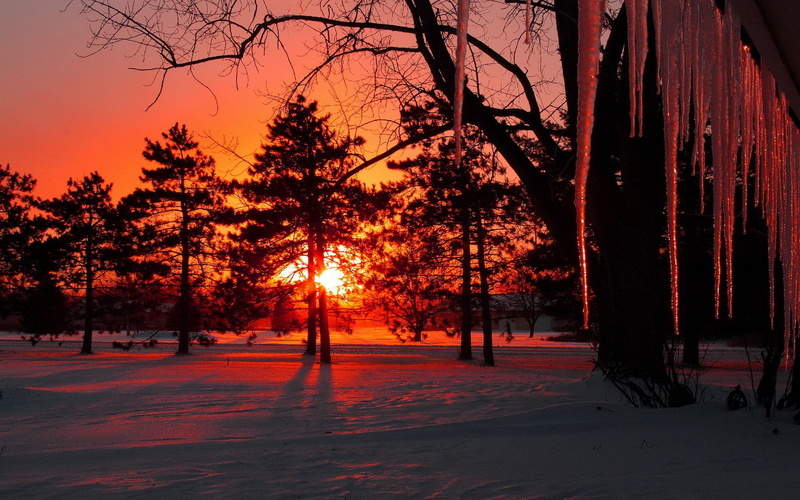Trees, Sunset, Winter, Icicles, Snow, Dusk, 1080P